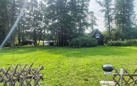 Am Pälitzsee: Plante, Træ, Naturlige Landskab, Græs, Land Lot, Græs-, Hus, Morgen, Fritid, Landskab
