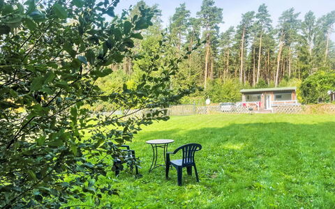 Am Pälitzsee: Plante, Himmel, Plantesamfund, Naturlige Landskab, Træ, Græs, Bunddække, Busk, Græs-, Landskab