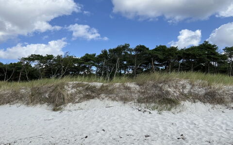 Sonya - 350M from the Sea: Hus, Hjem, Boligområde, Sommerhus, Sidespor, Estate, Indkørsel, Gård