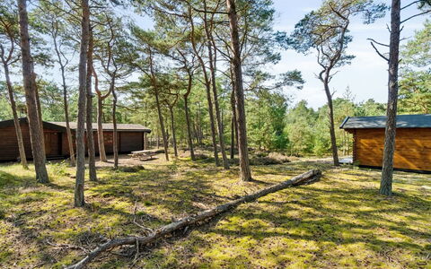 Sonya - 350M from the Sea: Træ, Træ, Land Lot, Landdistrikt, Sommerhus, Skov, Woodland, Bagagerum, Garden Bygninger, Skur