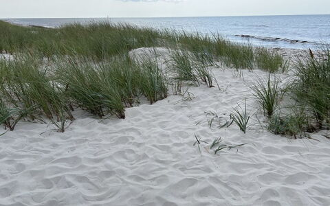Sonya - 350M from the Sea: Naturligt Miljø, Sand, Strand, Kyst, Kyst, Vinter, Sne