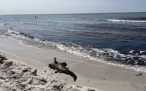 Sonya - 350M from the Sea: Krop Af Vand, Strand, Bølge, Kyst, Kyst, Hav, Coastal Og Oceaniske Landskabsformer, Vind Wave
