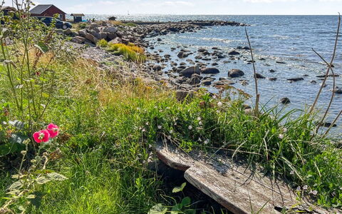 Malila - 15M from the Sea: Træ, Tag, Arkitektur, Hjem, Hus, Sommerhus, Sidespor, Hårdttræ, Hældning, Estate