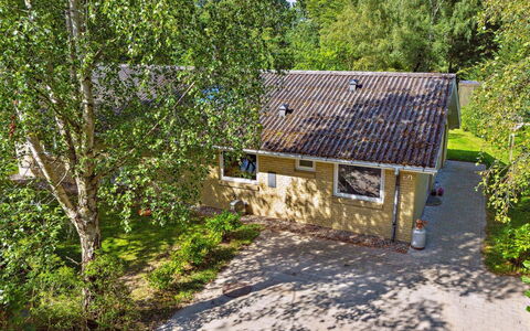 Hjalmine - 1.5Km from the Sea: Græs, Græs-, Landskab, Økoregion, Almindeligt, Plantesamfund, Land Lot, Udendørs Møbler, Prærie, Shrubland