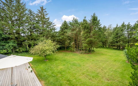 Ljiljana - 2Km from the Sea: Træ, Busk, Land Lot, Have, Lawn, Landscaping, Skygge, Evergreen, Gård