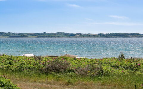 Klint - 25M from the Sea: Tag, Hjem, Dør, Sommerhus, Skygge, Sidespor, Gård, Estate, Backyard