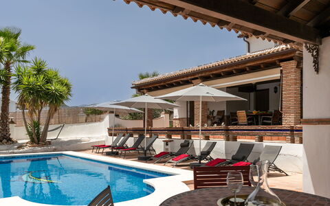 Sacre: Grøn, Blad, Plante, Træ, Biome, Græs, Fritid, Vedplante, Urban Design, Toner Og Skygger