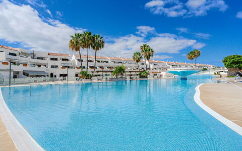 Costa del Silencio 603: Svømmepøl, Fritid, Ferie, Skygge, Udvej, Ferieby, Hotel, Tropics