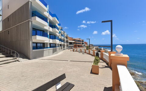 Neptuno Suite Playa: Grøn, Blad, Plante, Træ, Biome, Græs, Fritid, Vedplante, Urban Design, Toner Og Skygger