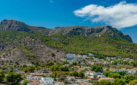 Mascarat: Grøn, Blad, Plante, Træ, Biome, Græs, Fritid, Vedplante, Urban Design, Toner Og Skygger