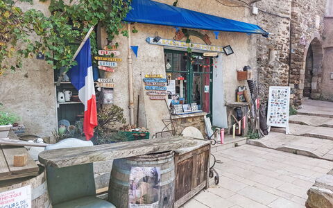 Le Mimosa St Laurent