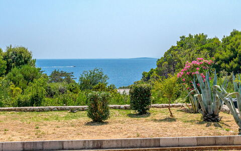 Dundo House: Blå, Grøn, Blad, Vegetationen, Busk, Plantesamfund, Have, Hav, Ocean, Landscaping