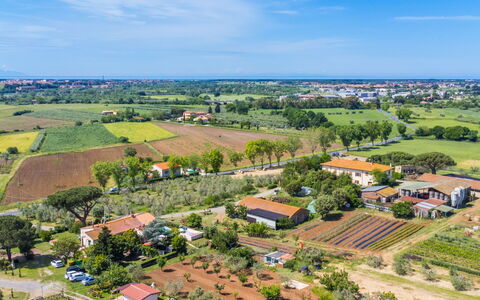 Da Lisa: Fugleperspektiv, Landskab, Sommer, Boligområde, Almindeligt, Landdistrikt, Mark, Land Lot, Luftfotografering, Forstad