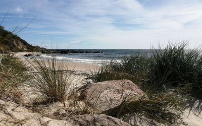 Wilgrib - 50M from the Sea