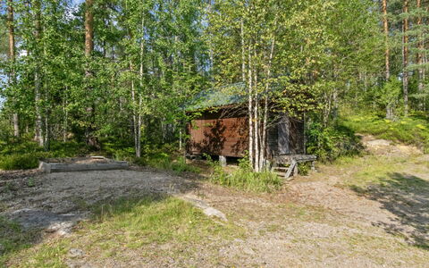 Karhupirtti: Træ, Naturligt Miljø, Blad, Træ, Plantesamfund, Skov, Woodland, Bagagerum, Lund