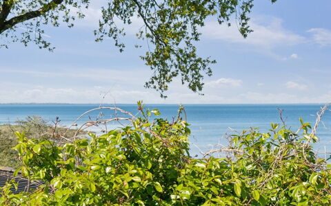 Titta - 10M to the Fjord: Blå, Busk, Sommerhus, Bunddække, Have, Estate, Skygge, Landscaping, Stuehus, Eco Hotel