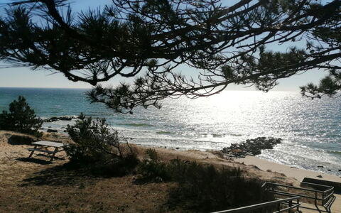 Yari - 50M from the Sea: Krop Af Vand, Træ, Horisont, Kyst, Strand, Coastal Og Oceaniske Landskabsformer, Hav, Sommer, Landskab, Kyst