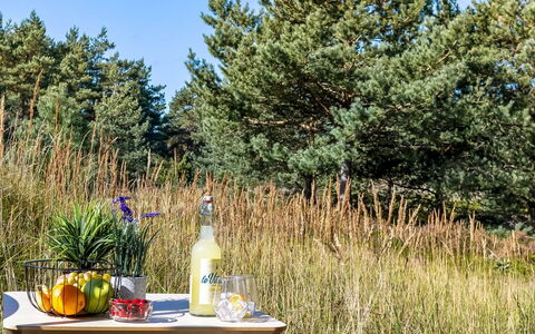 Dagny - 520M from the Sea: Rød, Bordservice, Serveware, Drinkware, Tallerkner, Mad