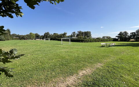 Christian - 600M from the Sea: Himmel, Blå, Daytime, Træ, Græs, Græs-, Almindeligt, Busk, Land Lot, Lawn
