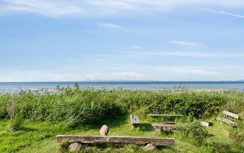 Nilson - 50M from the Sea: Græs, Træ, Landdistrikt, Busk, Sommerhus, Tag, Almindeligt, Land Lot, Hjem, Bunddække