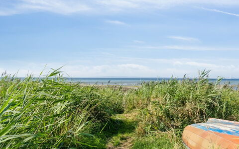 Nilson - 50M from the Sea: Græs, Træ, Landdistrikt, Busk, Sommerhus, Tag, Almindeligt, Land Lot, Hjem, Bunddække