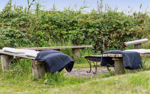 Nilson - 50M from the Sea: Græs, Træ, Landdistrikt, Busk, Sommerhus, Tag, Almindeligt, Land Lot, Hjem, Bunddække
