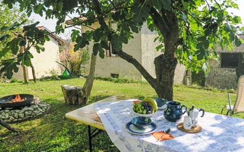 Delle Maschere: Bord, Plante, Møbel, Natur, Botanik, Blad, Bordservice, Træ, Dug, Udendørs Møbler