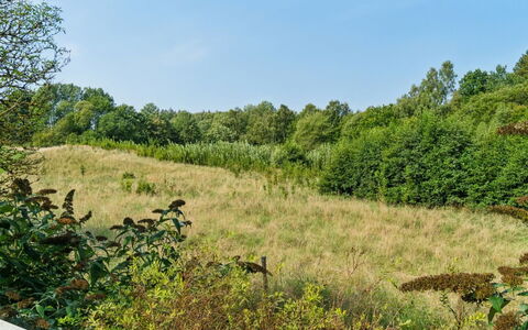 Waldemar - 8Km from the Sea: Træ, Tag, Arkitektur, Hjem, Hus, Sommerhus, Sidespor, Hårdttræ, Hældning, Estate