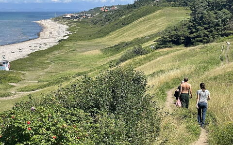 Iolani - 1.3Km from the Sea: Møbel, Indretning, Gulvbelægning, Etage, Loft, Værelse, Stol, Bord, Lejlighed, Køkken & Spisebord