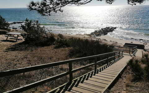Rico - 50M from the Sea: Træ, Kyst, Hav, Coastal Og Oceaniske Landskabsformer, Strand, Kyst, Ocean, Bugt, Sand, Boardwalk