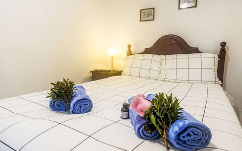Surfers Inn: Bygning, Plante, Komfort, Textile, Træ, Indretning, Gulvbelægning, Etage, Bed Frame, Billedramme