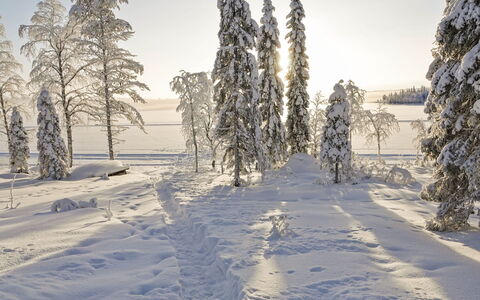 Villa Q: Himmel, Sne, Vinter, Afdeling, Fryser, Frost, Morgen, Lærk, Skov