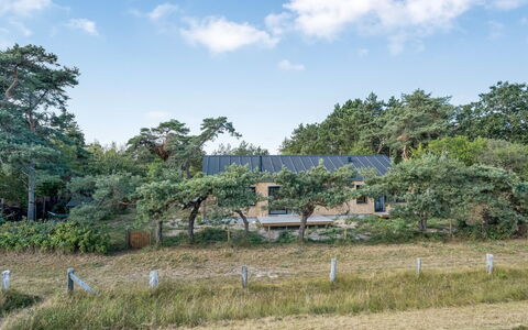 Kaila - 50M from the Sea: Træ, Busk, Land Lot, Plantesamfund, Hjem, Landdistrikt, Sommerhus, Have, Stuehus