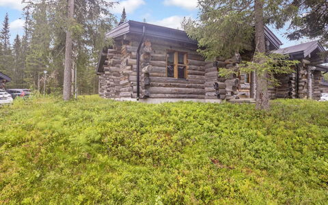 Kaukonkelo: Træ, Sommerhus, Sidespor, Bjælkehytte, Bejdse, Hårdttræ, Planke, Tømmer, Naturmateriale, Garden Bygninger