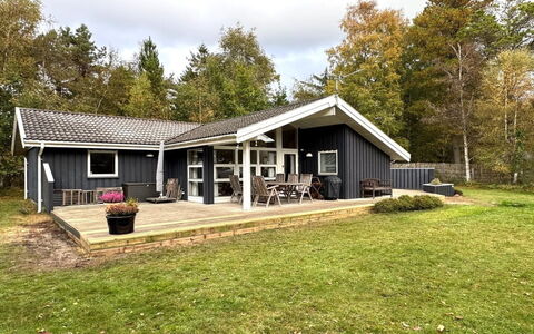 Tyyne - 250M from the Sea: Hus, Hjem, Tag, Sommerhus, Estate, Sidespor, Stuehus, Garden Bygninger, Veranda, Landscaping