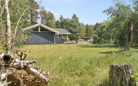 Tyyne - 250M from the Sea: Græs, Træ, Hus, Sommerhus, Busk, Hjem, Land Lot, Landdistrikt, Landskab