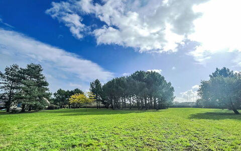 Saint Philibert 163: Sky, Himmel, Plante, Økoregion, Naturlige Landskab, Naturligt Miljø, Træ, Land Lot, Sollys