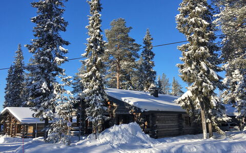 Kuusi-Ruka 6: Sne, Træ, Vinter, Afdeling, Træ, Sommerhus, Landskab, Fryser, Lærk