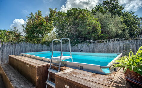 Villa Solaria with Private Pool: Vand, Sky, Himmel, Daytime, Ejendom, Plante, Svømmepøl, Træ, Træ, Krop Af Vand