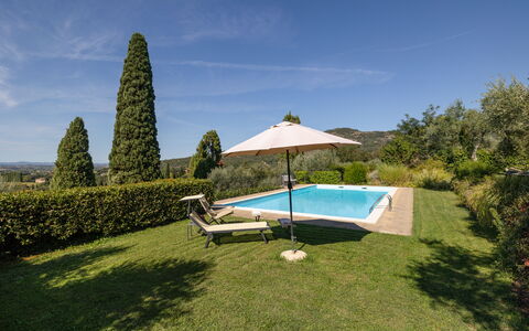 Villa Delle Rose: Himmel, Sky, Vand, Plante, Svømmepøl, Udendørs Møbler, Paraply, Skygge, Træ, Land Lot