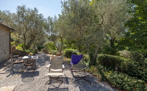 Villa Delle Rose: Plante, Plantesamfund, Stol, Naturlige Landskab, Land Lot, Træ, Græs, Bord, Skygge, Udendørs Møbler