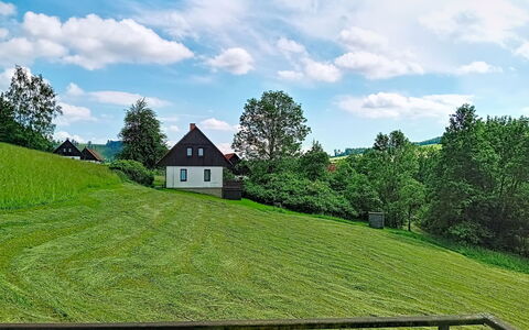 Green Valley Park Stárkov 5: Træ, Have, Backyard, Land Lot, Hjem, Tag, Skygge, Dæk, Hårdttræ, Gård