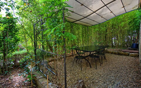 Casa Minuccia: Plante, Bord, Skygge, Naturlige Landskab, Vegetationen, Træ, Terrestrisk Plant, Udendørs Møbler, Biome, Træ