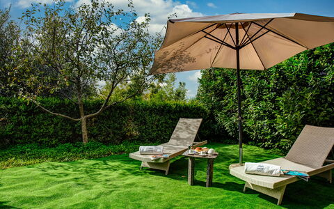 Villa Sorrentina With Panoramic Terrace: Plante, Sky, Ejendom, Plantesamfund, Himmel, Paraply, Grøn, Blad, Botanik, Skygge