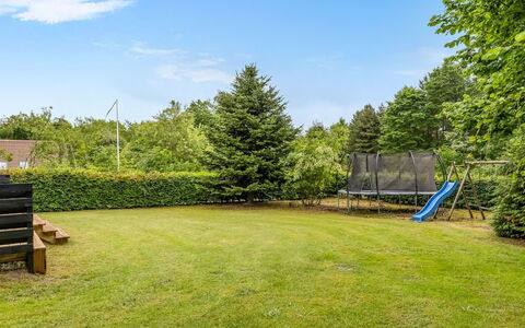 Diuri - 30Km from the Sea: Busk, Have, Land Lot, Lawn, Skygge, Landscaping, Parkere, Gård, Evergreen