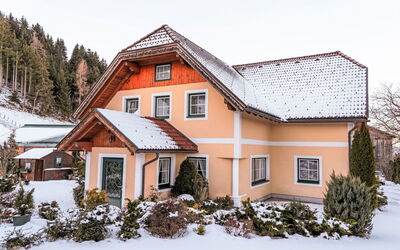 Feriebolig:&nbsp;Dachstein 671.3