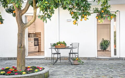 Clementine Country House: Plante, Ejendom, Bygning, Møbel, Bord, Blomsterkrukke, Blad, Vejbelægning, Arkitektur, Træ