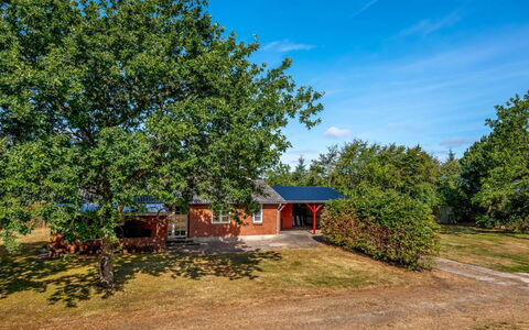 Agla - 2.5Km from the Sea: Blå, Træ, Græs, Blad, Natur, Afdeling, Landskab, Busk, Almindeligt