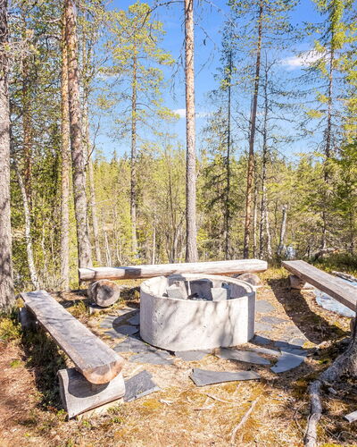 Kiehtäjän Lahti
