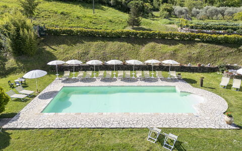 Marcigliana Cottage, Pool, Radicondoli: Udendørs Møbler, Svømmepøl, Lawn, Udvej, Have, Eco Hotel, Udendørs Bord, Liggestol, Hotel, Landscaping